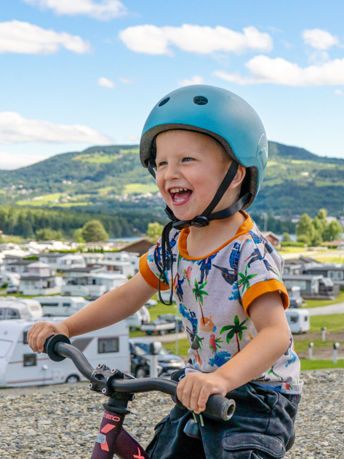 Topcamp Mjøsa — photo 3